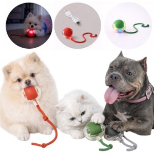 Bola Automática Gira Mexe Sozinha Para Gato Cachorro